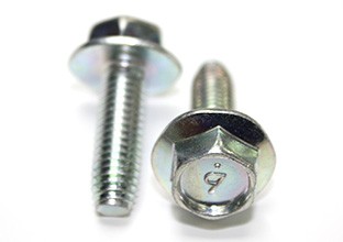 Earth Bolt